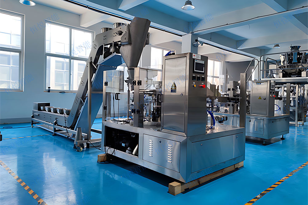 八工位給袋式自動丝瓜视频污污污污