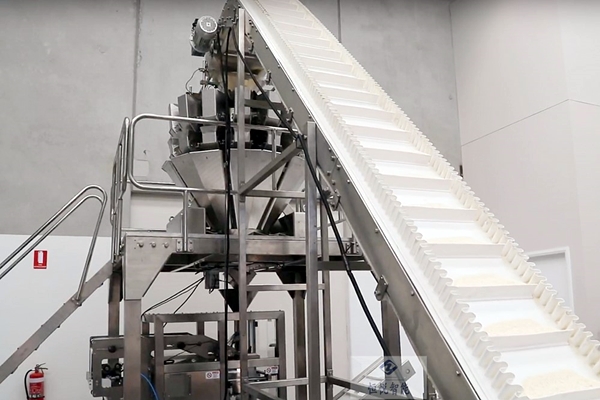 速凍水餃丝瓜视频污污污污720K