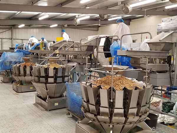 全自動丝瓜视频污污污污智能化聯動生產