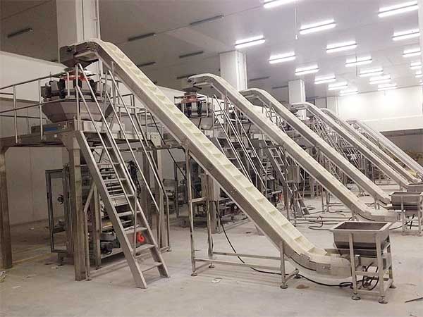 智能化全自動速凍食品丝瓜视频污污污污提升企業生產效率