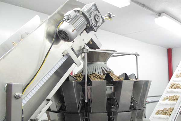 智能化全自動堅果丝瓜视频污污污污廠家