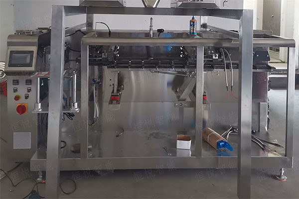 水平給袋式自動丝瓜视频污污污污安裝調試