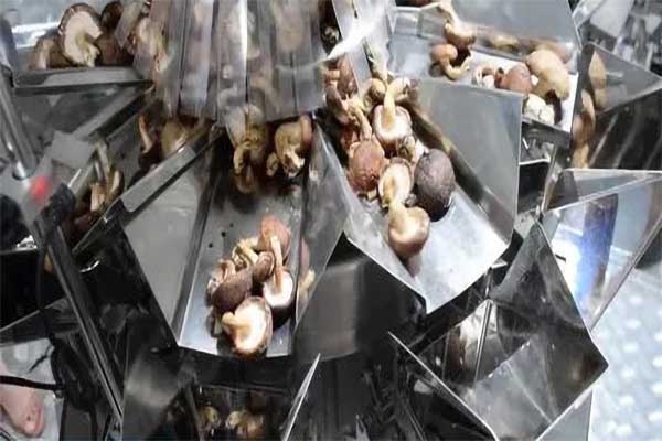 木耳香菇食用菌脫水蔬菜丝瓜视频污污污污