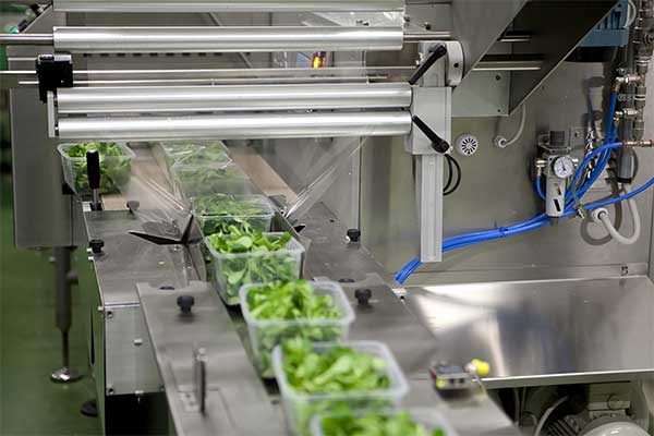 瓜果蔬菜全自動脫水蔬菜丝瓜视频污污污污