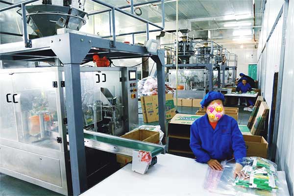 給袋式顆粒全自動丝瓜视频污污污污廠家