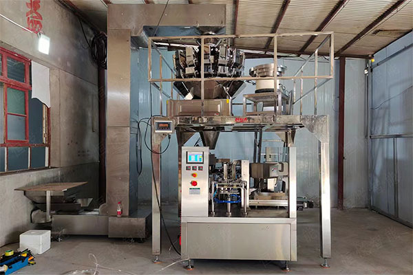 顆粒給袋式自動丝瓜视频污污污污適用的食品包裝